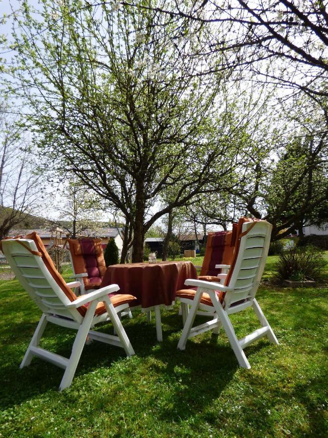 Ferienwohnung Dasch, Bei Idar-Oberstein Im Nationalpark Hunsrueck-Hochwald Siesbach Buitenkant foto